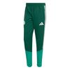adidas Algerien 26 Pr&auml;sentationshose Trainingshose Herren - Team Dark Green