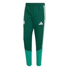 adidas Algerien 26 Präsentationshose Trainingshose Herren Team Dark Green