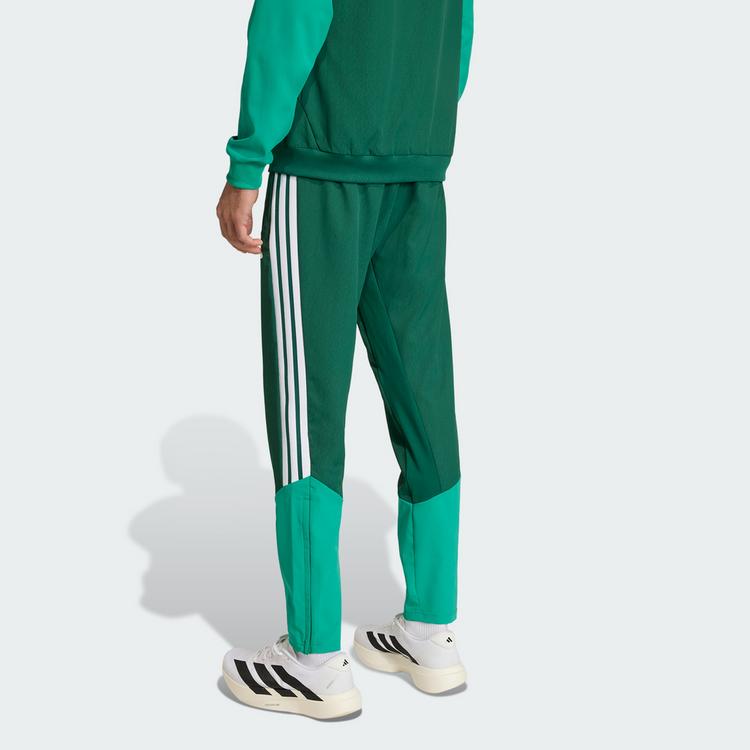 adidas adidas Algerien 26 Pr&auml;sentationshose Trainingshose Herren - Team Dark Green - 1 | SportScheck