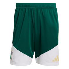 adidas Italien 26 Tiro Trainingsshorts Fußballshorts Herren Collegiate Green
