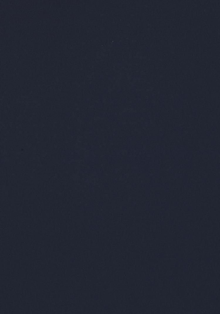 S.OLIVER S.OLIVER Badeanzug Badeanzug Damen - marine - 2 | SportScheck