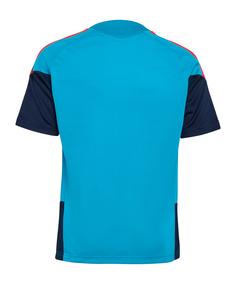 Rückansicht von adidas Spanien Tiro Trainingsshirt Kids Fanshirt Kinder blau