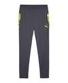 PUMA individualCUP Trainingshose Trainingshose Herren - grau