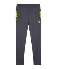 PUMA individualCUP Trainingshose Trainingshose Herren - grau