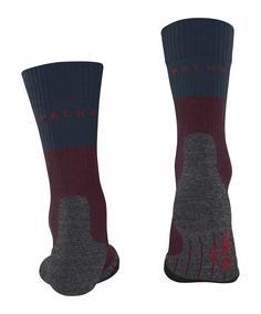 Rückansicht von Falke TK2 Explore Laufsocken Herren barolo (8526)