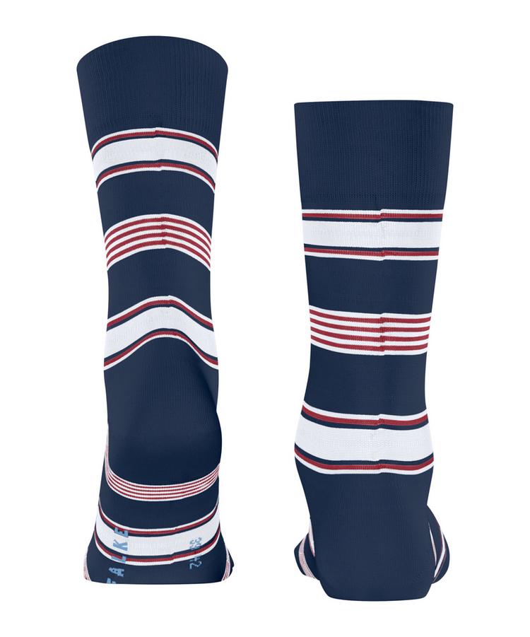 Falke Falke Marina Stripe SO Socken Herren - royal blue (6000) - 0 | SportScheck