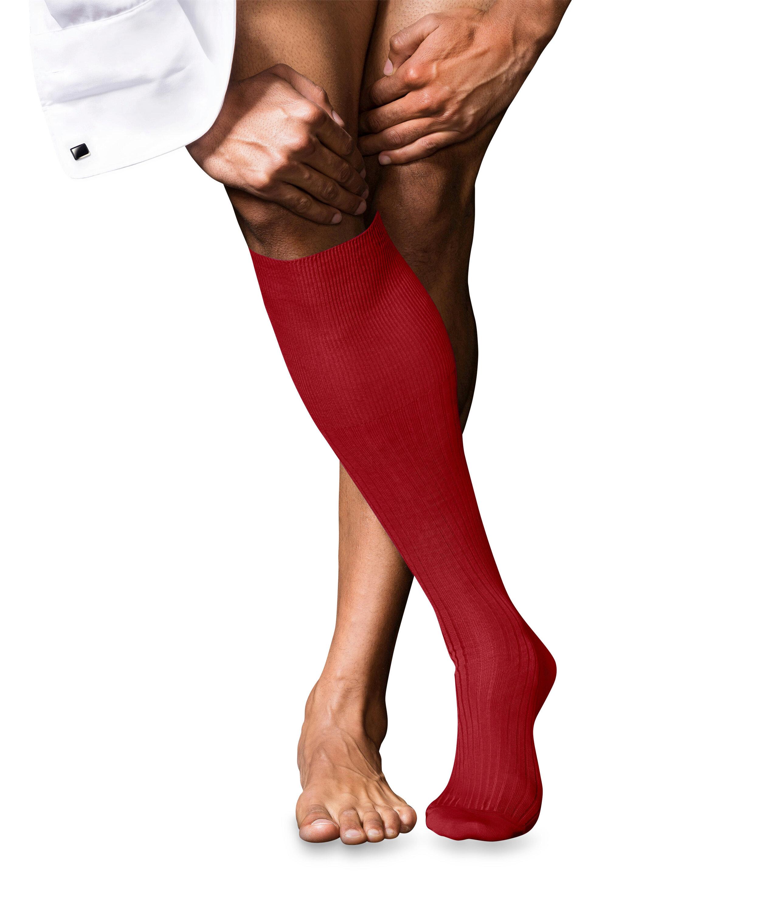 Falke Socken Herren - cardinal (8156)