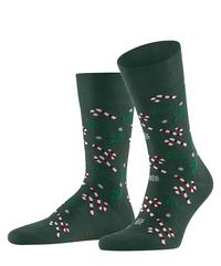 Falke Socken Herren - hunter green (7441)
