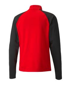 Rückansicht von PUMA teamLIGA HalfZip Sweatshirt Funktionssweatshirt Herren rotschwarz