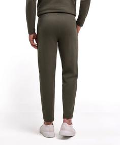 Rückansicht von Falke Hose Herren kale (7118)