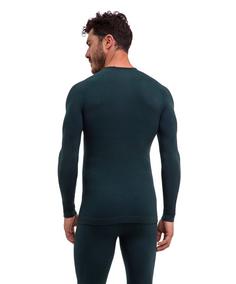 Rückansicht von Falke Funktionsshirt Herren holly (7385)