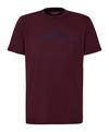 Falke TK Tee Graphic m T-Shirt Herren - barolo (8526)