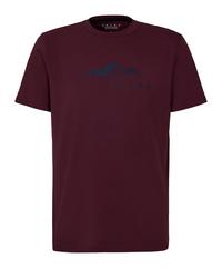 Falke TK Tee Graphic m T-Shirt Herren - barolo (8526)