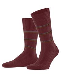 Falke Socken Herren - cayenne (5950)