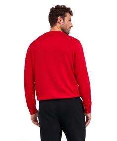 Rückansicht von Falke Strickpullover Herren sporty red (8003)