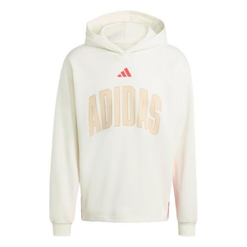 adidas STADIUM GRAPHIC HOODIE. Hoodie Herren