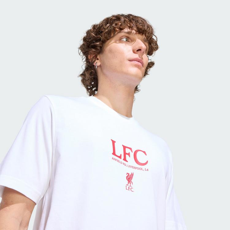 adidas adidas Liverpool FC Seasonal Graphic T-Shirt Funktionsshirt Herren - White - 0 | SportScheck
