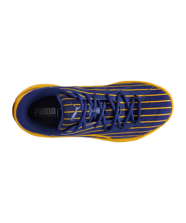PUMA PUMA All-Pro Nitro Pinstripes Hallenschuhe Herren - blaugelb - 1 | SportScheck