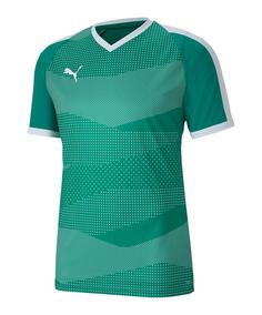 PUMA Trikot Weiß Fußballtrikot Herren gruenweiss
