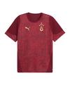 PUMA Galatasaray Istanbul Trainingsshirt T-Shirt Herren - rot