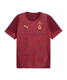 PUMA Galatasaray Istanbul Trainingsshirt Fanshirt Herren rot
