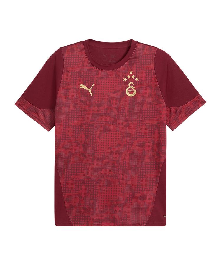PUMA PUMA Galatasaray Istanbul Trainingsshirt T-Shirt Herren - rot - 0 | SportScheck