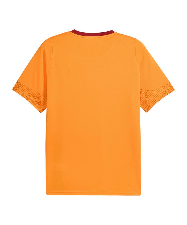 PUMA PUMA Galatasaray Istanbul Trainingsshirt T-Shirt Herren - orange - 0 | SportScheck