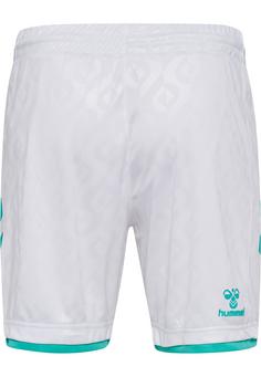 Rückansicht von hummel WER 23/24 AWAY SHORTS Funktionsshorts WHITE