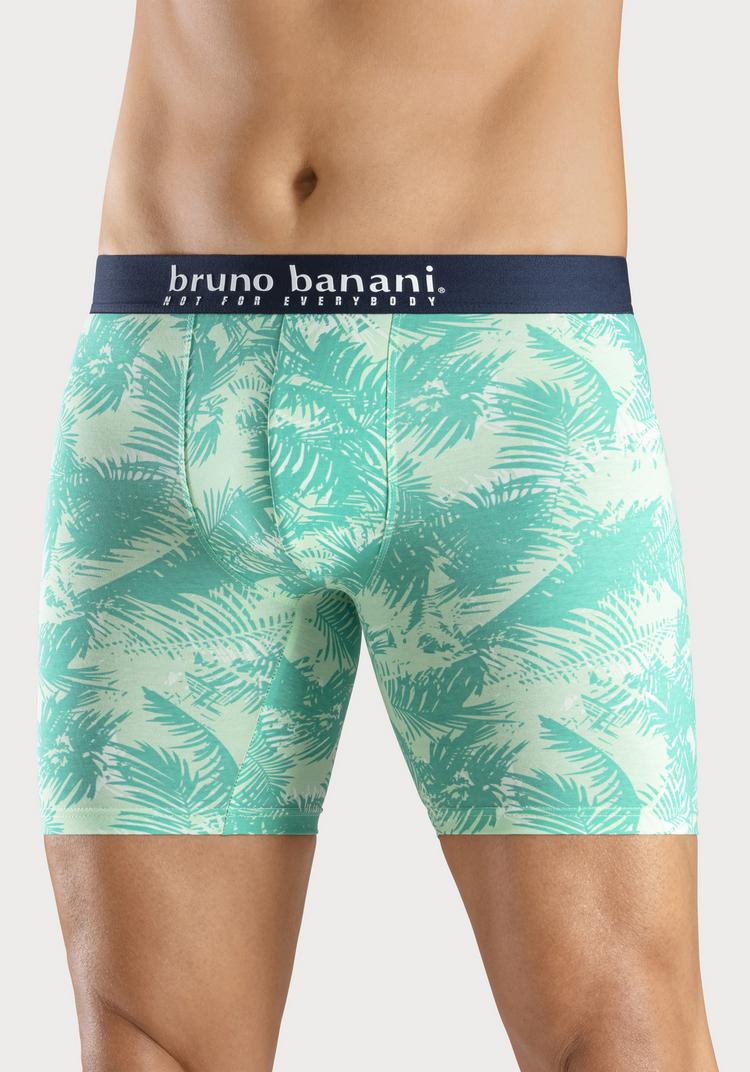 BRUNO BANANI BRUNO BANANI Langer Boxer Unterhose Herren - mint - navy - hellgr&uuml;n - 2 | SportScheck