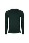 DANISH ENDURANCE Merino Funktionsshirt Herren - dark green