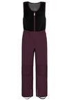 normani Outdoor Sports Carmacks Skihose - Violett