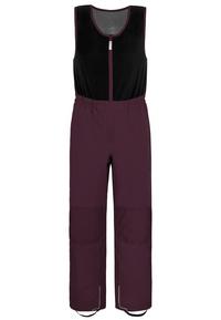 normani Outdoor Sports Carmacks Skihose - Violett