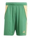 adidas Tiro 24 Short Fu&szlig;ballshorts Herren - gruenorange