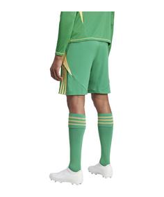 Rückansicht von adidas Tiro 24 Short Fußballshorts Herren gruenorange