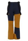 FUNDANGO Teak Colourblock Skihose Herren - patriot blue