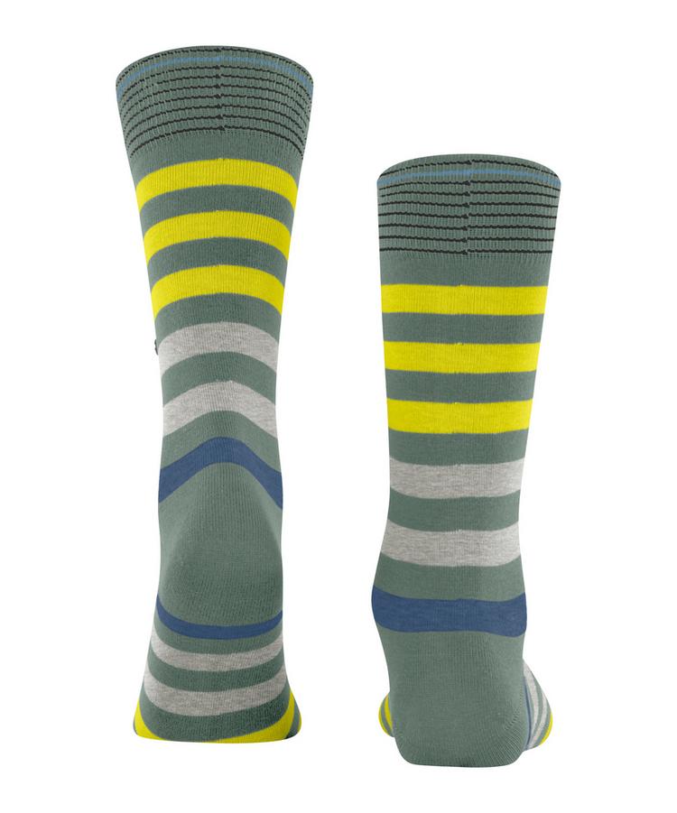 Burlington Burlington Blackpool Socken Herren - misteltoe (7550) - 0 | SportScheck