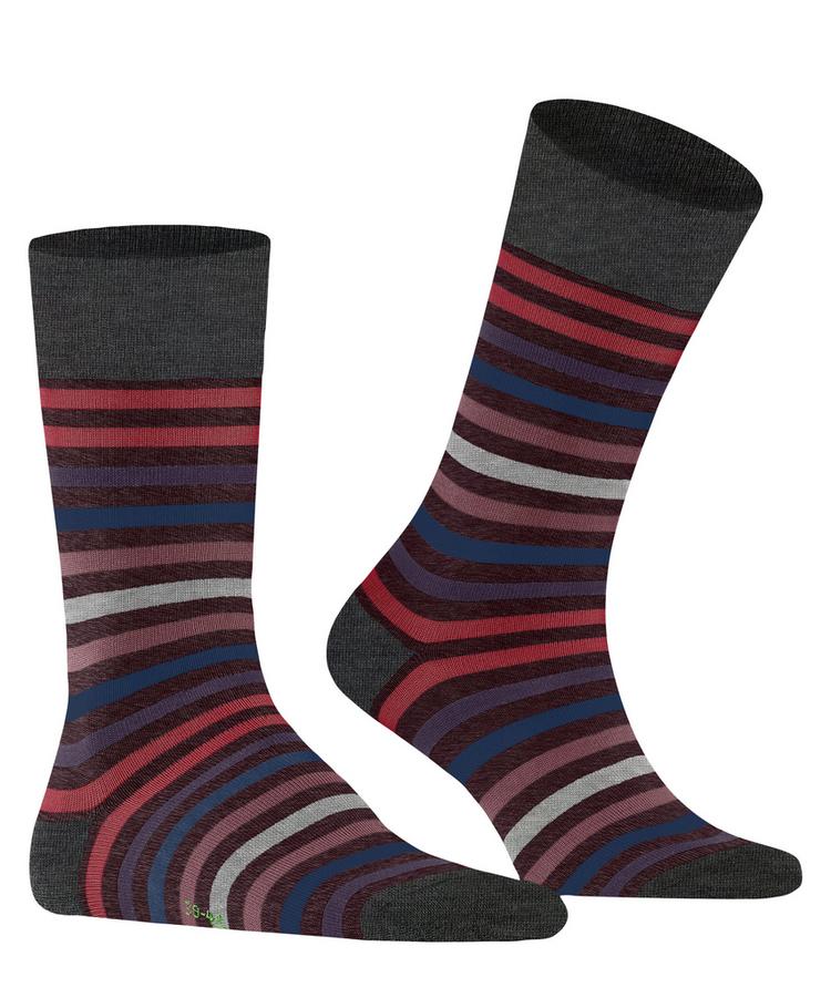 Falke Falke Tinted Stripe SO Socken Herren - barolo (8597) - 0 | SportScheck