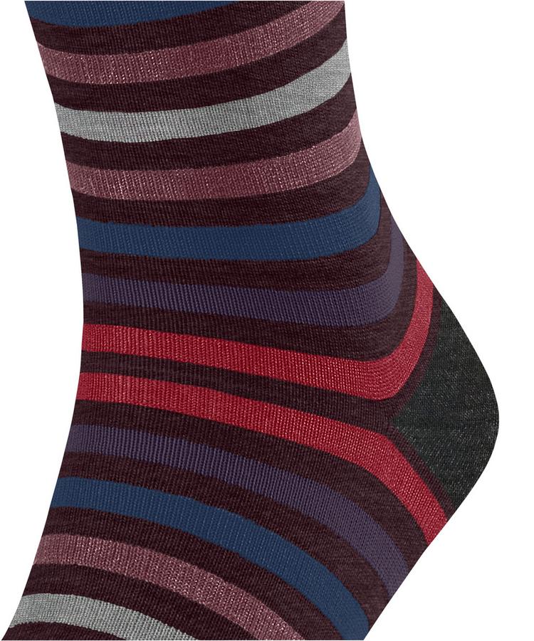 Falke Falke Tinted Stripe SO Socken Herren - barolo (8597) - 1 | SportScheck