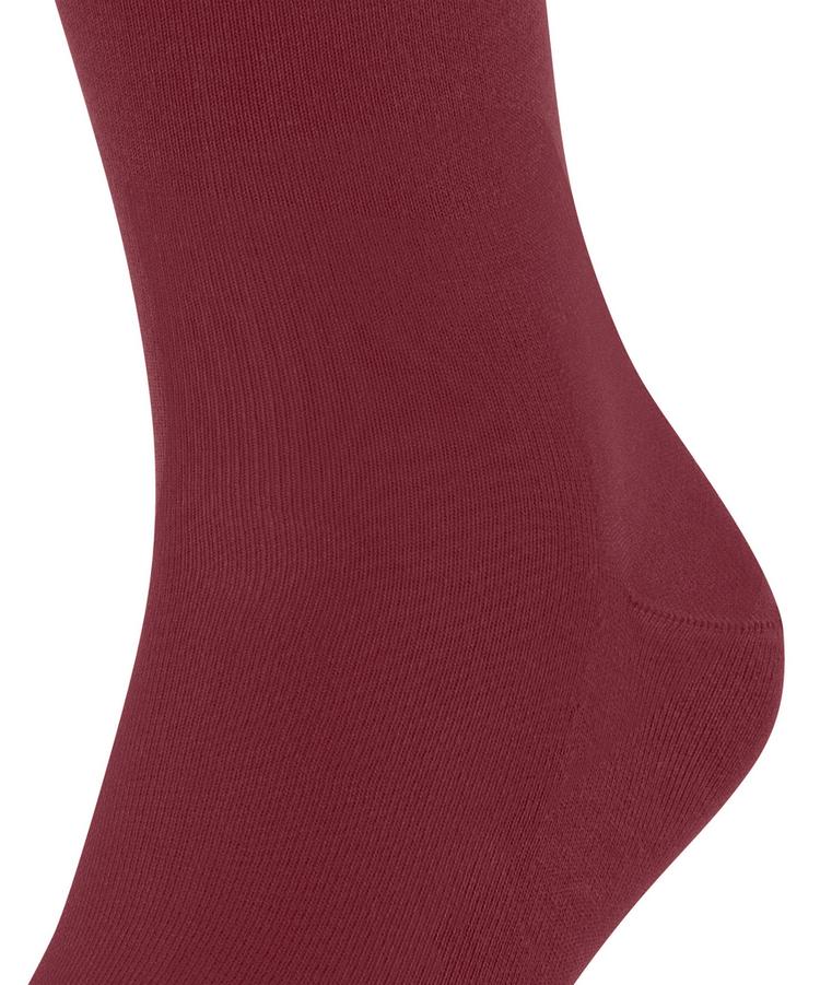 Falke Falke Cool 24/7 SO Socken Herren - ruby (8830) - 1 | SportScheck