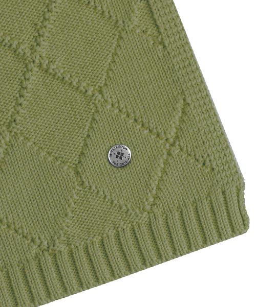 Rückansicht von Burlington Schal green leaf (7271)