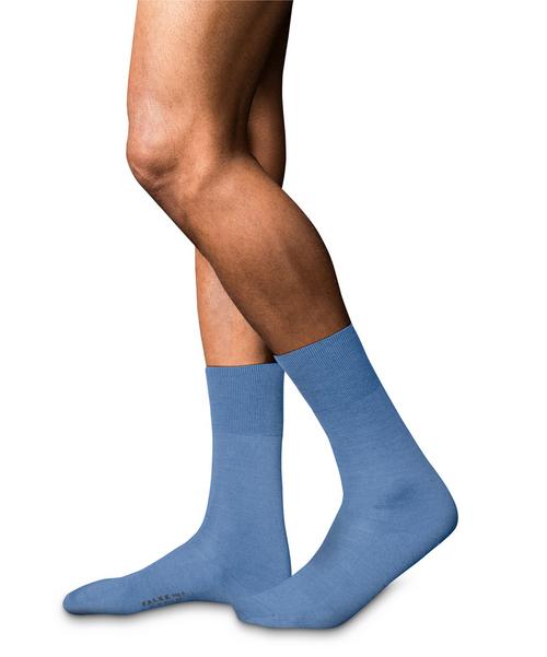 Rückansicht von Falke No. 6 SO Freizeitsocken Herren arcticblue (6367)