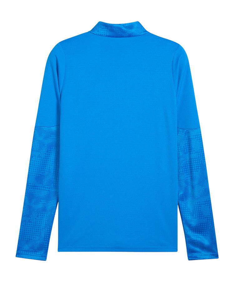 PUMA PUMA teamCUP Training 1/4 Zip Sweatshirt Funktionssweatshirt Herren - blausilber - 0 | SportScheck