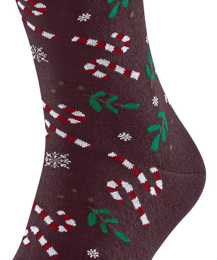 Falke Falke Socken Herren - barolo (8596) - 1 | SportScheck