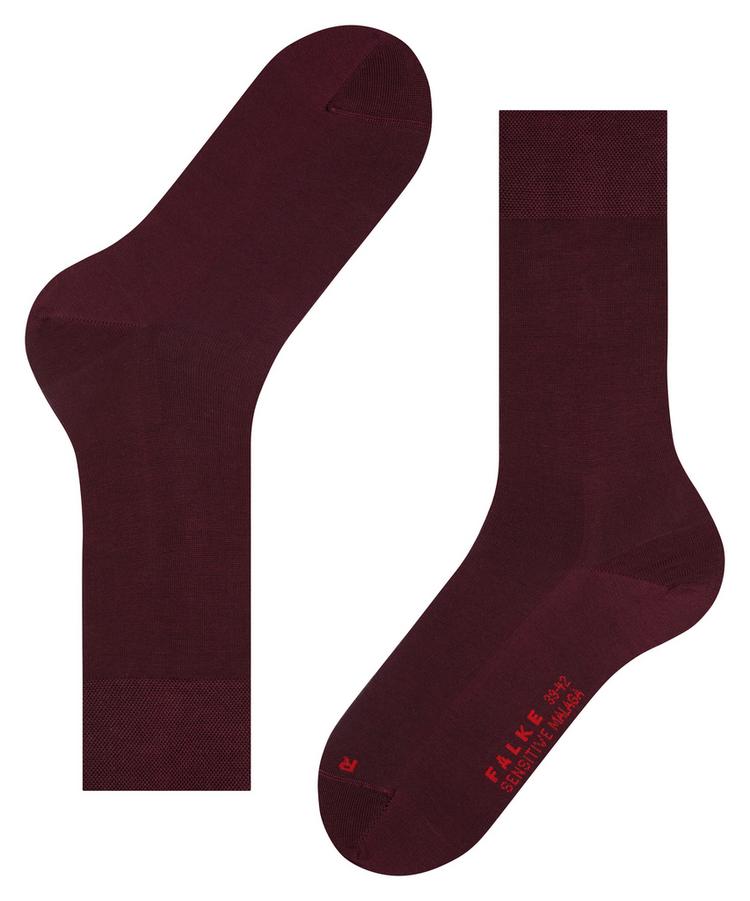 Falke Falke Socken Herren - barolo (8596) - 2 | SportScheck