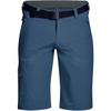 Maier Sports Nil Funktionsshorts Herren - Rauchblau