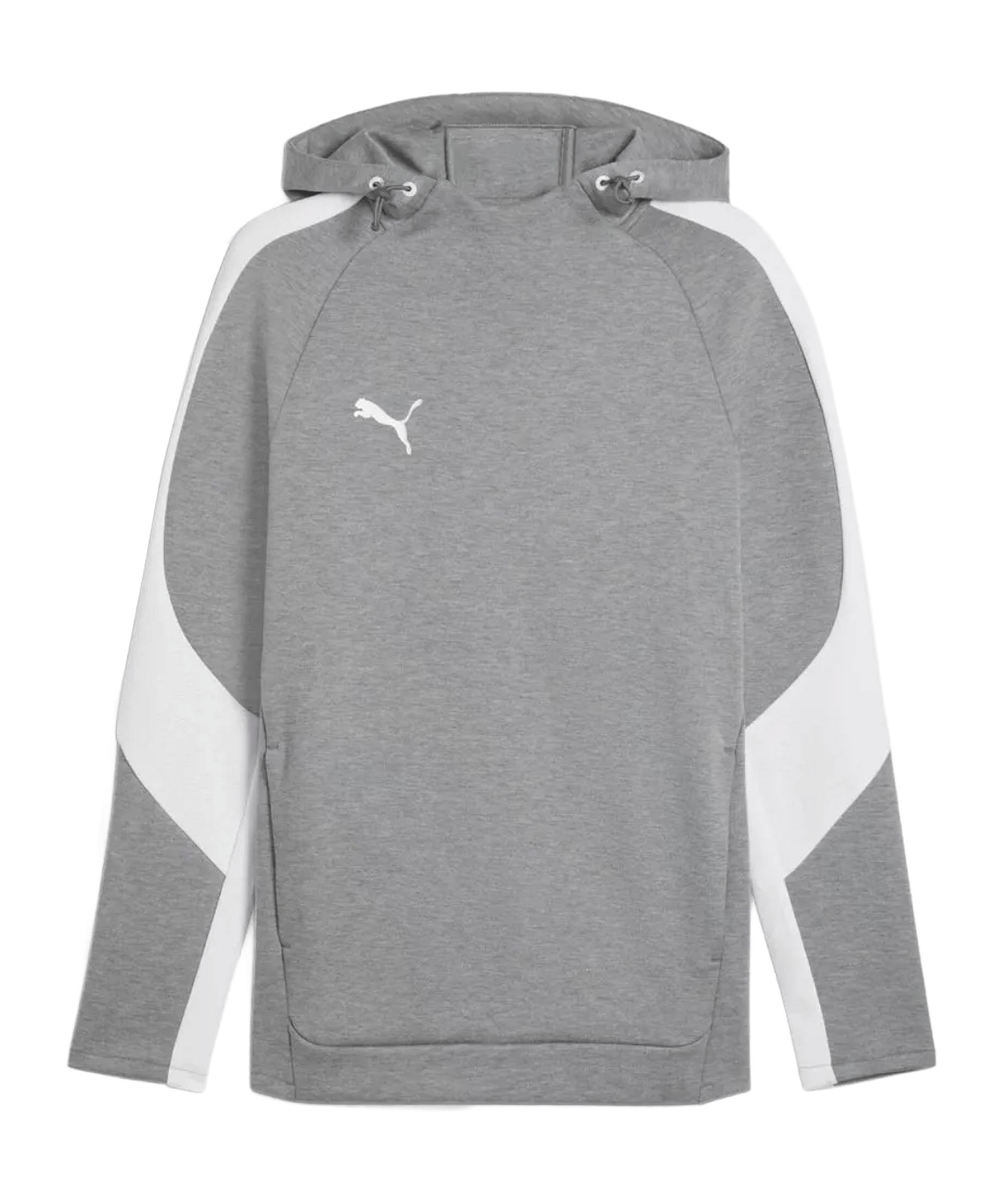 PUMA TeamEvostripe Hoody Funktionssweatshirt Herren - grau