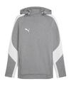PUMA TeamEvostripe Hoody Funktionssweatshirt Herren - grau