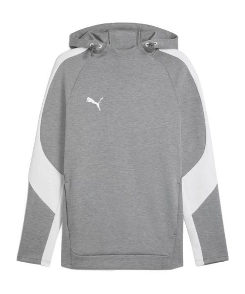 PUMA TeamEvostripe Hoody Funktionssweatshirt Herren