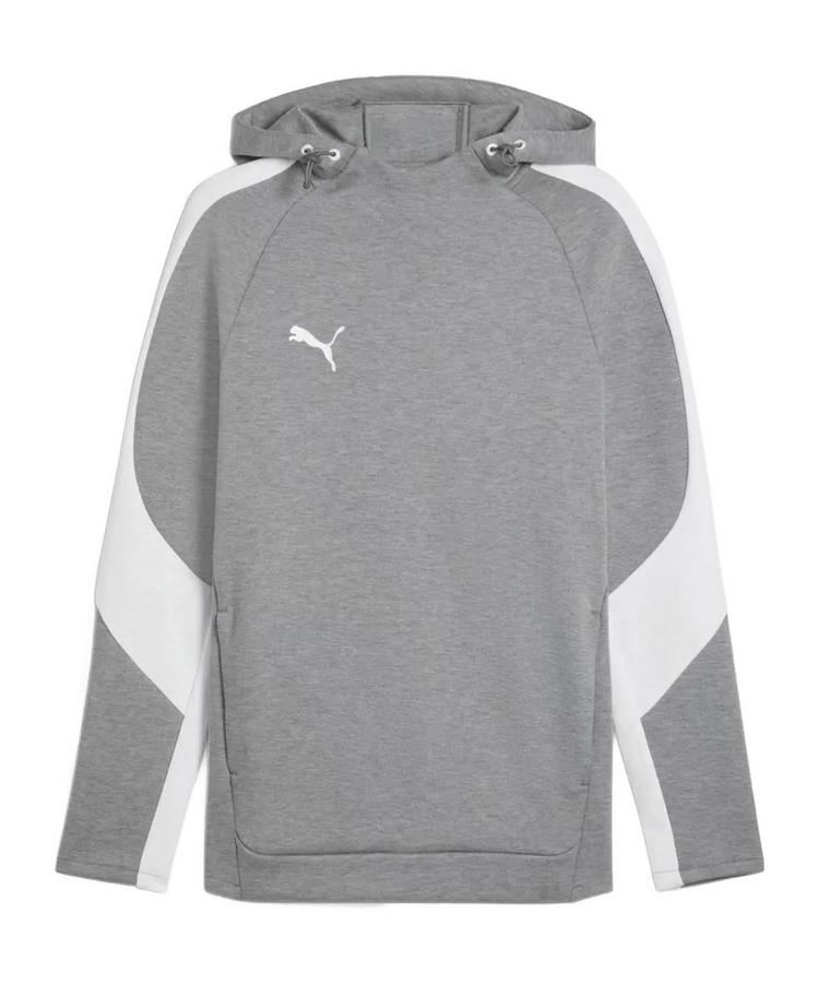 PUMA PUMA TeamEvostripe Hoody Funktionssweatshirt Herren - grau - 0 | SportScheck