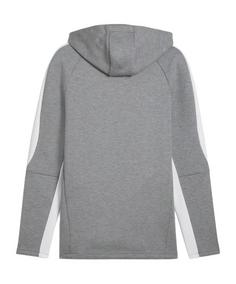 Rückansicht von PUMA TeamEvostripe Hoody Funktionssweatshirt Herren grau